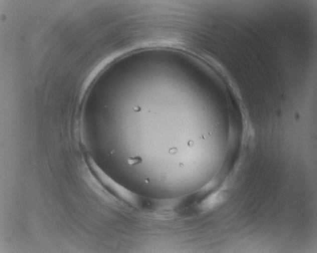 X0000052551340200507011121