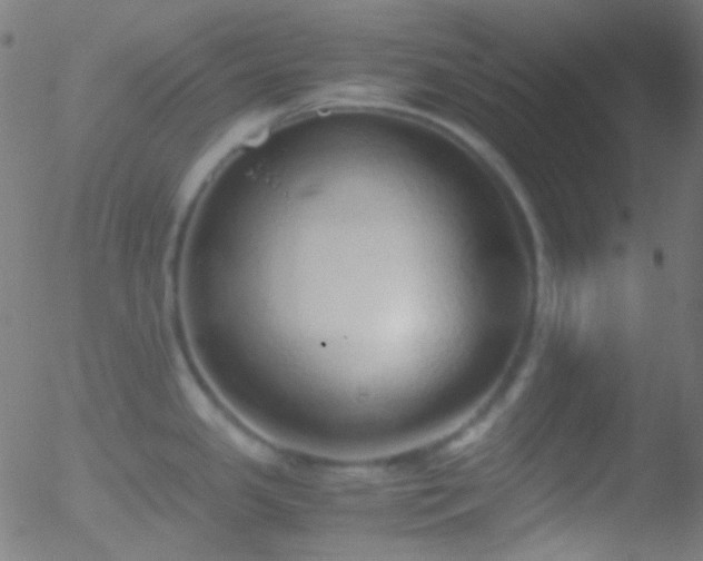 X0000052551341200507011121