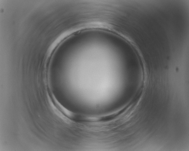 X0000052551342200507011121