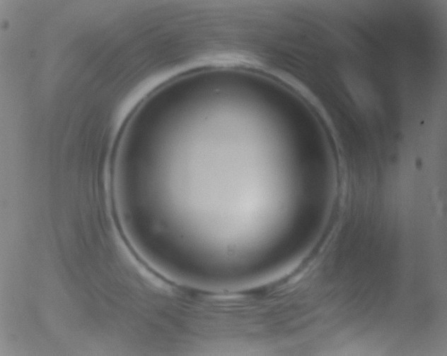 X0000052551343200507011121