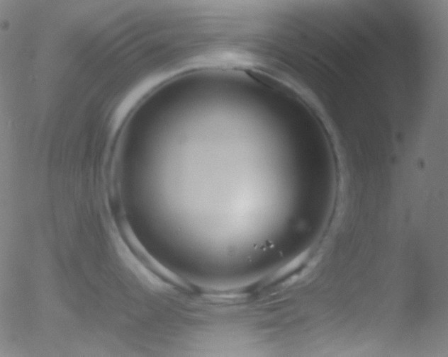 X0000052551344200507011121