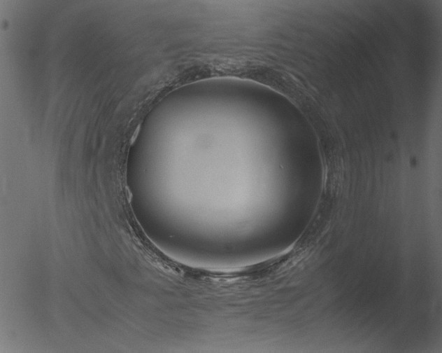 X0000052551345200507011120