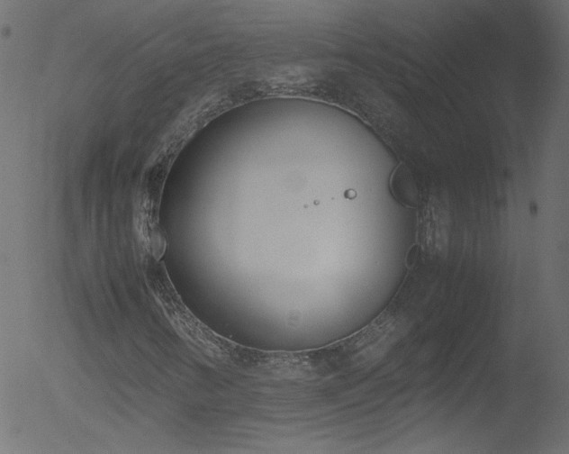 X0000052551346200507011120