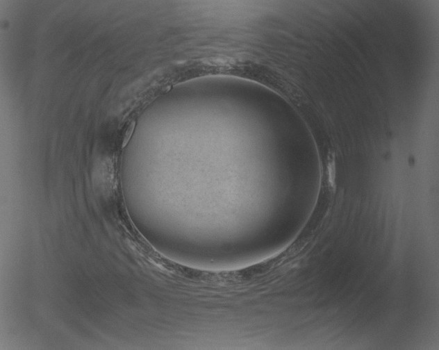 X0000052551347200507011120