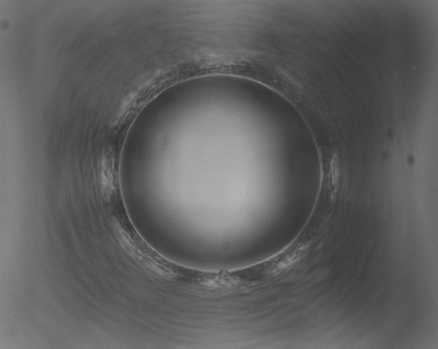 X0000052551348200507011120