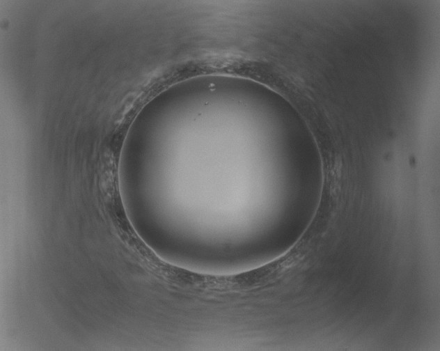 X0000052551349200507011120