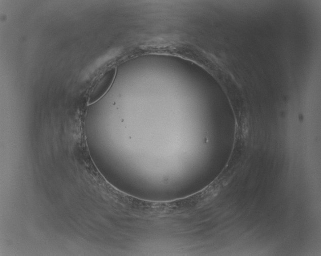 X0000052551350200507011120