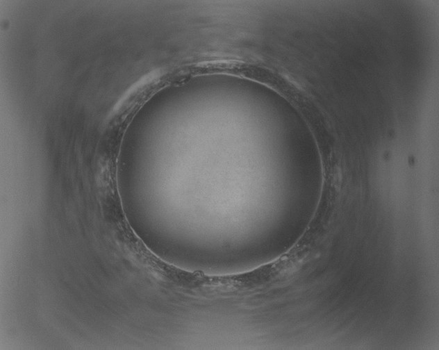 X0000052551351200507011120