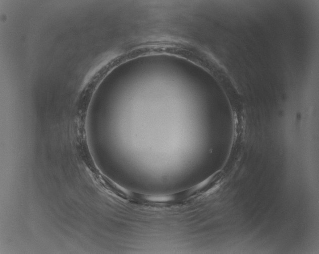 X0000052551352200507011120