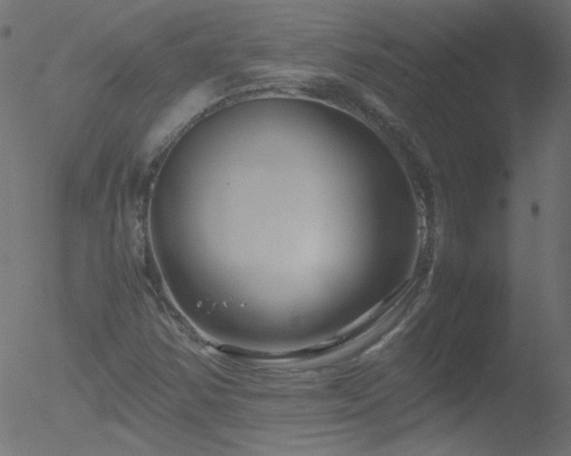 X0000052551354200507011120