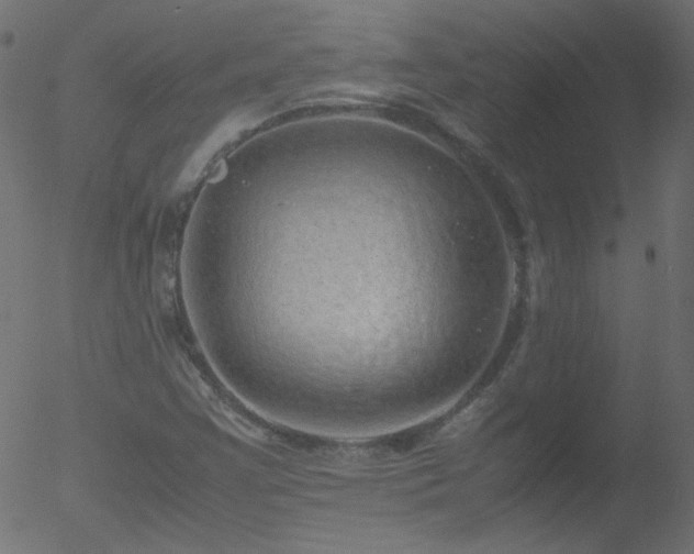 X0000052551355200507011120