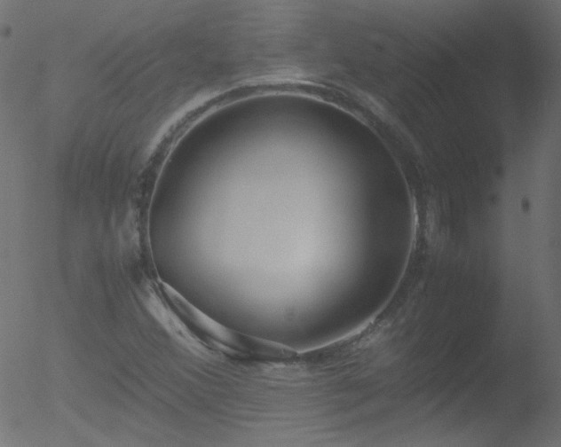 X0000052551356200507011120