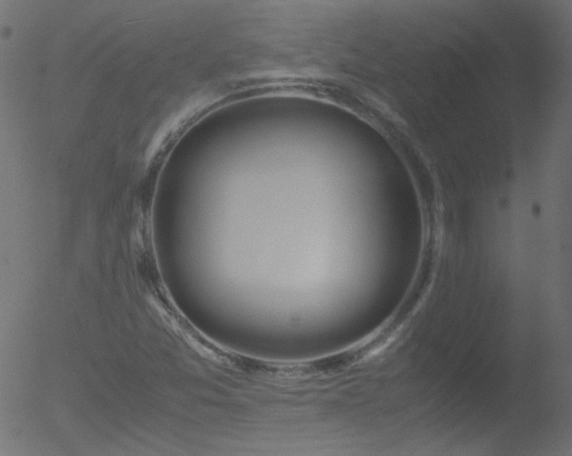 X0000052551357200507011120