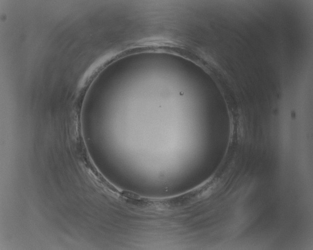 X0000052551358200507011120