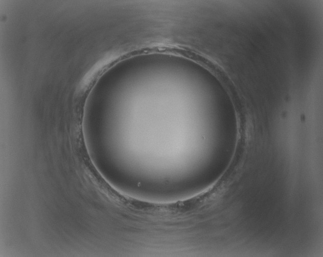 X0000052551359200507011120