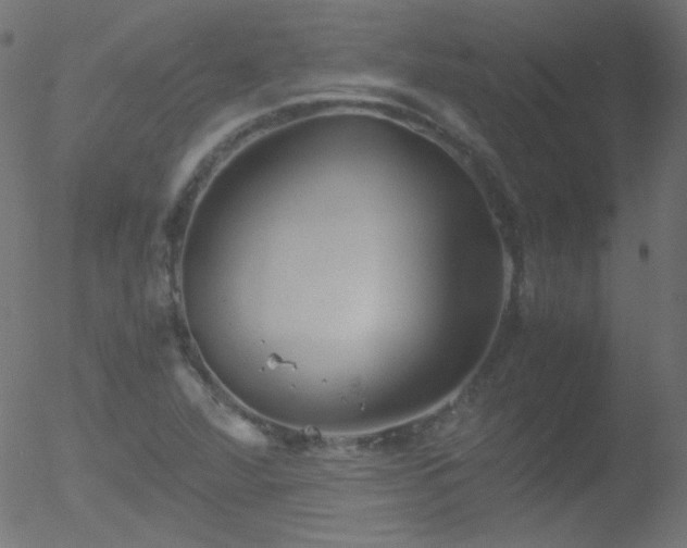 X0000052551360200507011120