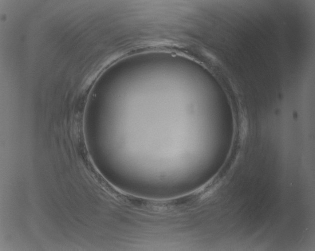 X0000052551361200507011120