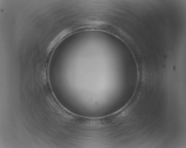 X0000052551362200507011120