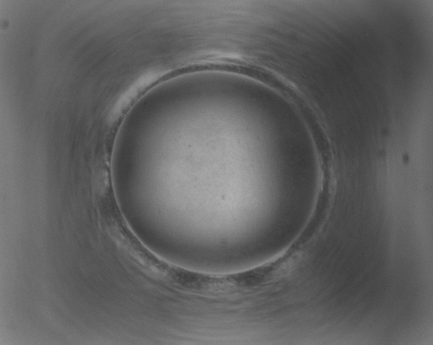 X0000052551363200507011120