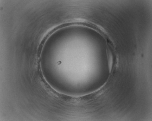 X0000052551364200507011120