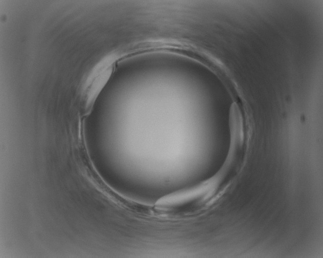 X0000052551365200507011120