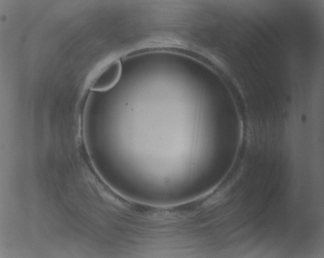 X0000052551366200507011120