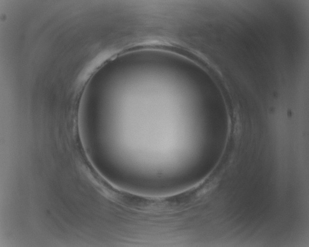 X0000052551367200507011120