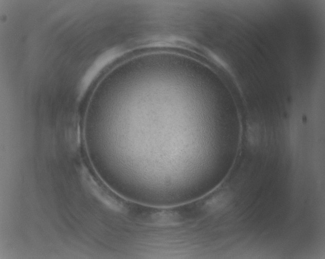 X0000052551368200507011120