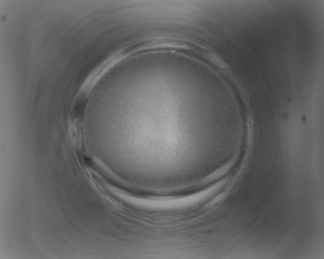 X0000052551369200507011120