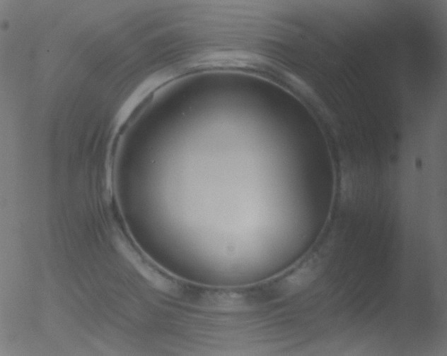 X0000052551370200507011120