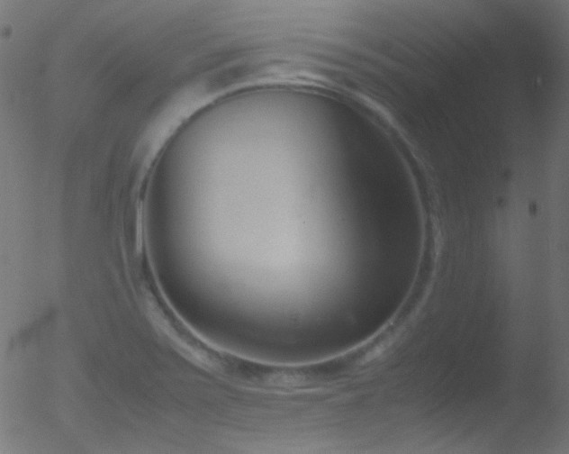 X0000052551371200507011120