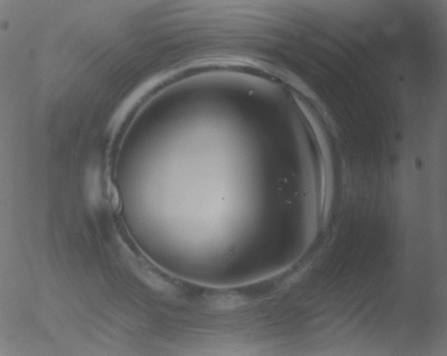 X0000052551372200507011120