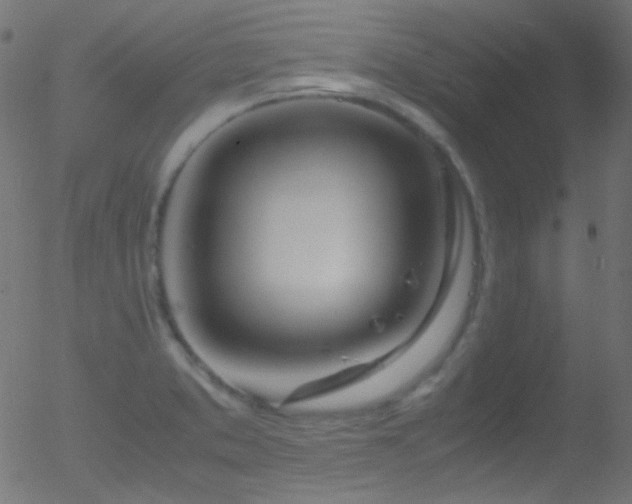 X0000052551373200507011119