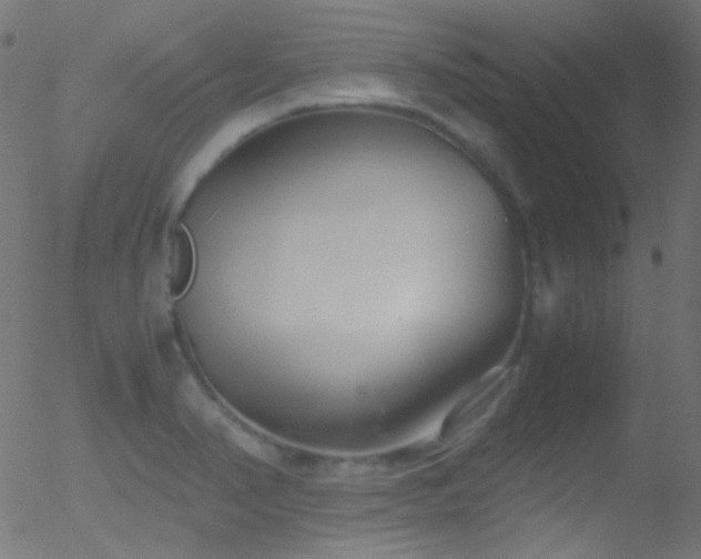 X0000052551374200507011119