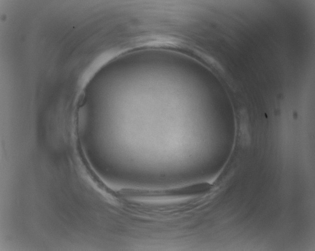 X0000052551375200507011119