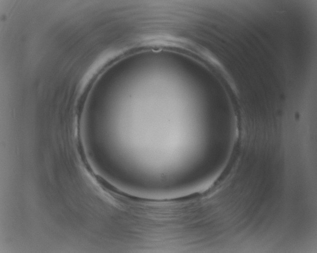 X0000052551376200507011119