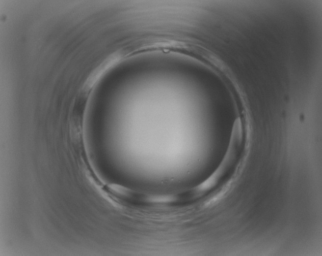 X0000052551377200507011119