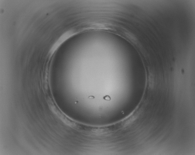 X0000052551378200507011119