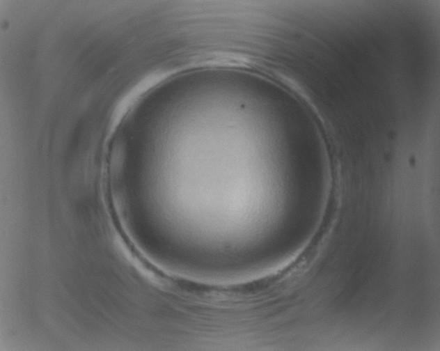 X0000052551379200507011119