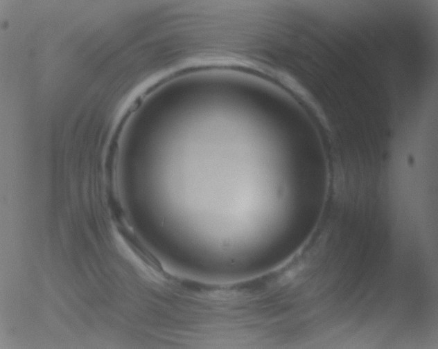 X0000052551380200507011119