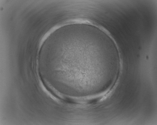 X0000052551381200507011119