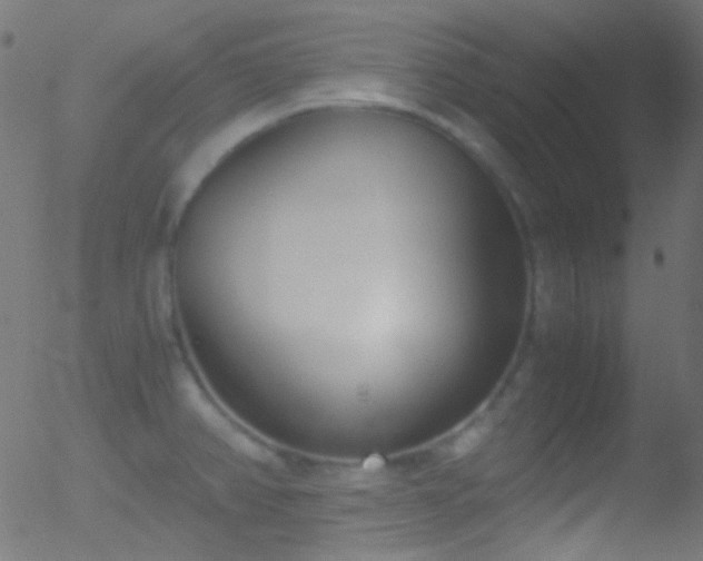 X0000052551382200507011119