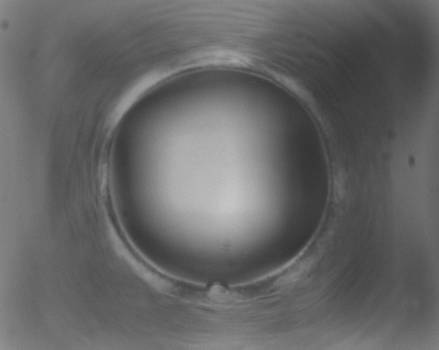 X0000052551383200507011119