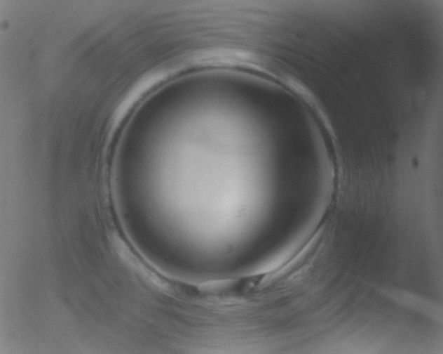 X0000052551384200507011119