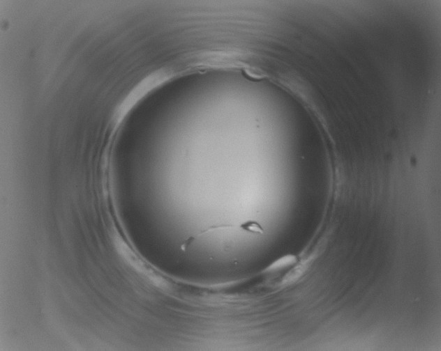 X0000052551386200507011119