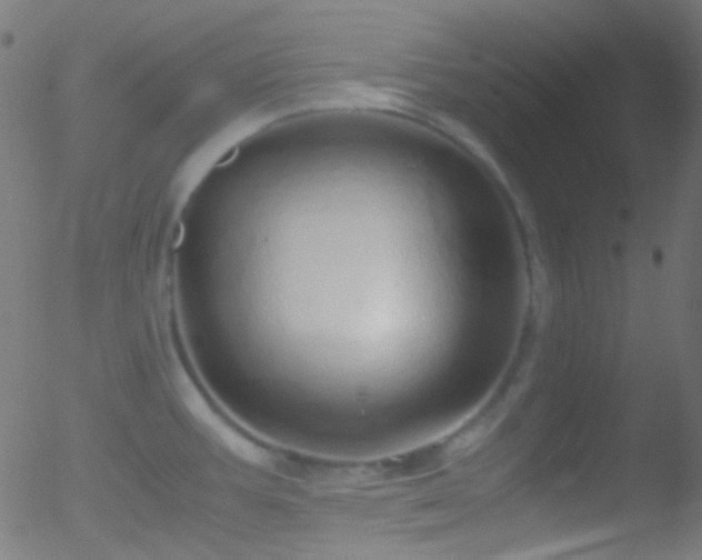 X0000052551387200507011119