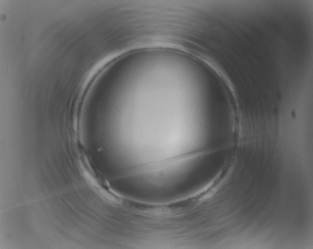 X0000052551388200507011119