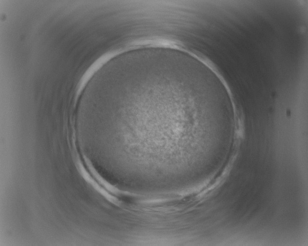 X0000052551389200507011119