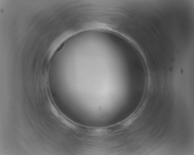 X0000052551390200507011119