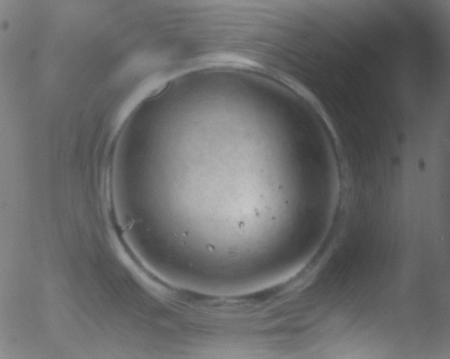 X0000052551391200507011119